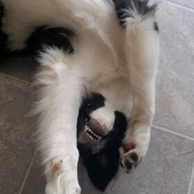 6 maanden oud