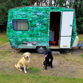 Hondenfoto van laura   Diva&Nova