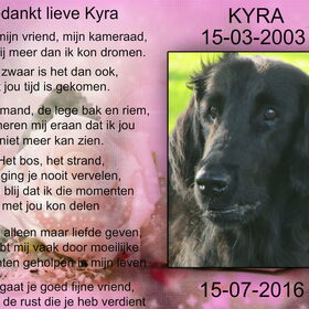 Hondenfoto van Danielle, Kyra*Kaylin*, Djaira en Djaidey