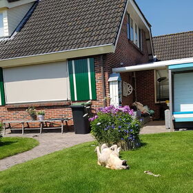 Hondenfoto van laura   Diva&Nova