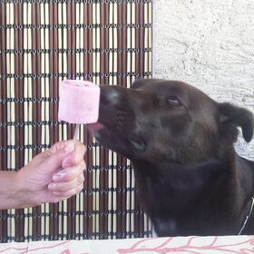 Een lekker yoghurtijsje kan er steeds bij :-)