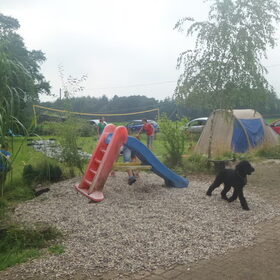 Nora hoort er helemaal bij. er is hindernisbaan in de tuin