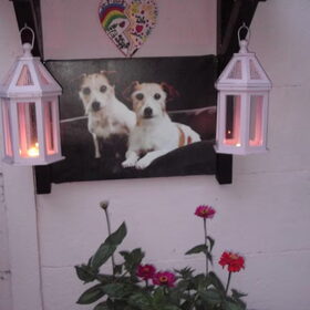 Hondenfoto van Kaatje en Hailey (Speedy† Tessa†) 