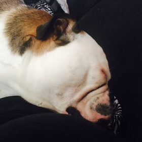 Snurk snurk ... Zzzzzz :))