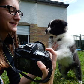 Hondenfoto van celeste & nugga