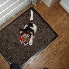 Hondenfoto van binkie 22-09-2009