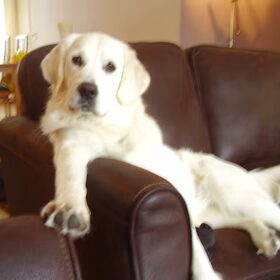 Ik zit hier wel relax...