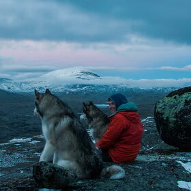 Hondenfoto van Alaska's Finest!