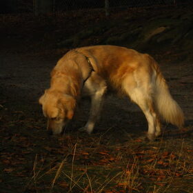 Bobbie en de natuur!