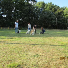 Hondenfoto van carla en Buddy 