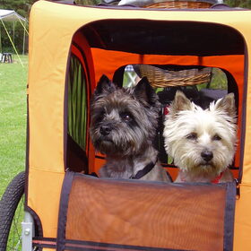 Binky en Zenna in de fietskar op vakantie.