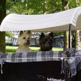 Binky en Zenna in de bakfiets op vakantie.