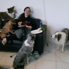 Hondenfoto van team border lolly