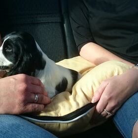 Op weg