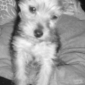 Missy!