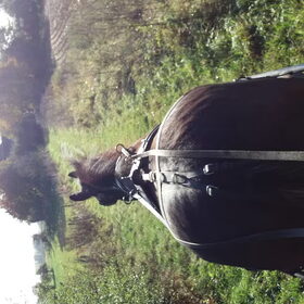 Hondenfoto van Lotte met Hobbe