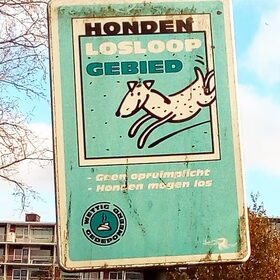 Hondenfoto van Wilma en Dobby (RIP)