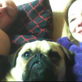 Hondenfoto van Nori met Chewy, Ayla, Leiah & Mace