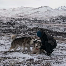 Hondenfoto van Alaska's Finest!