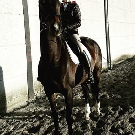 Hondenfoto van Hannah & Bink† en Beertje