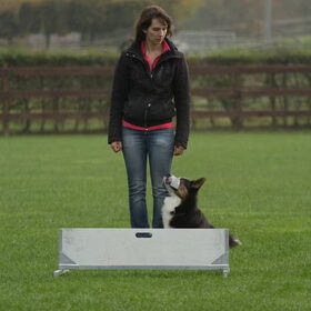Hondenfoto van Nathalie, Harley & Mr. Deeks