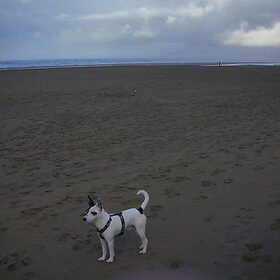 en nog een daggie strand