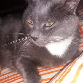 Hondenfoto van Jeanine :)