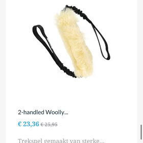 Hondenfoto van team border lolly