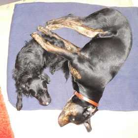 Lief!