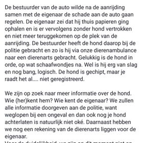 Hondenfoto van laura   Diva&Nova