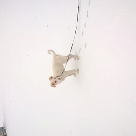 In de sneeuw