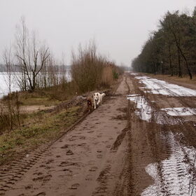 Hondenfoto van Hetty & Skipper