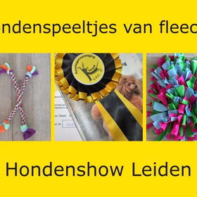 Hondenfoto van Sigrid, Sandy, Diva & Nala