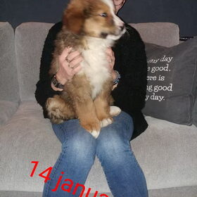 nee he alweer op schoot voor een persmoment hou daar eens mee op…