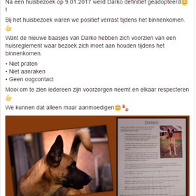 Hondenfoto van Tinaa.