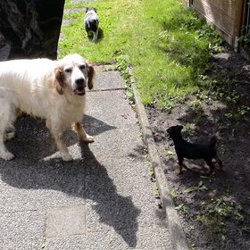 Lina en alex (26 juli 2009)