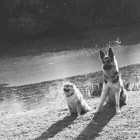 Hondenfoto van Vicky & Toby