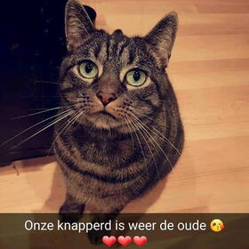Onze vriend , Rakker !