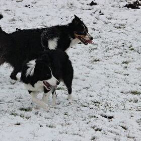 Met Kenai
