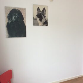 Hondenfoto van Willemijn - baasje van Vika .           Bams  en Ogin   ¥ .