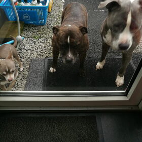 Mogen we naar binnen??