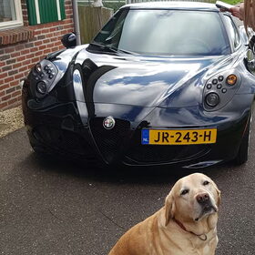 Hondenfoto van laura   Diva&Nova