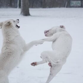 Karate!!!!