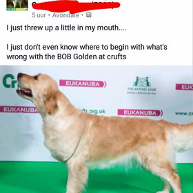 Golden crufts