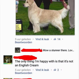 Golden crufts