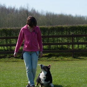 Hondenfoto van Nathalie, Harley & Mr. Deeks
