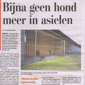 Krant