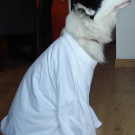 Bodhi verkleed als een koorknaapje... ;)