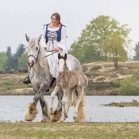 Hondenfoto van Lisanne, Misha, Tessa&Arrow