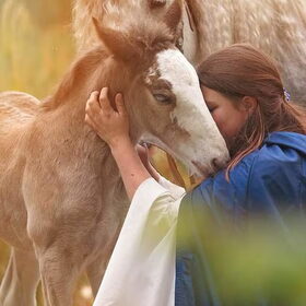 Hondenfoto van Lisanne, Misha, Tessa&Arrow